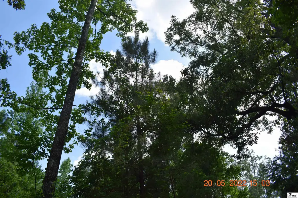 Picture 12