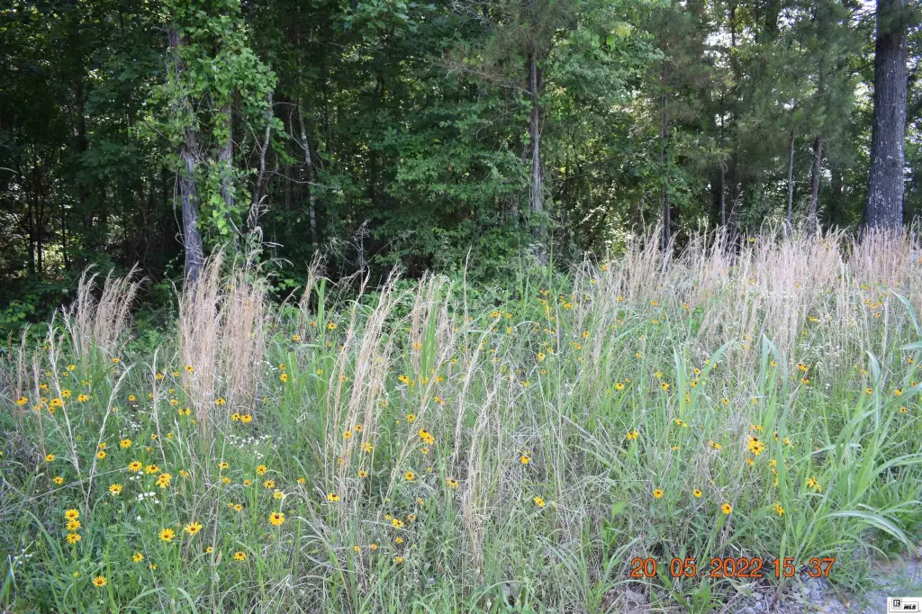 Picture 29