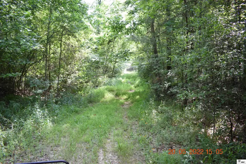 Picture 13