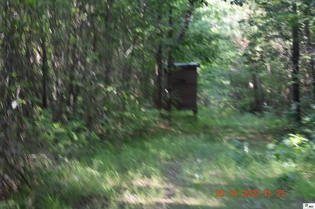 Picture 21
