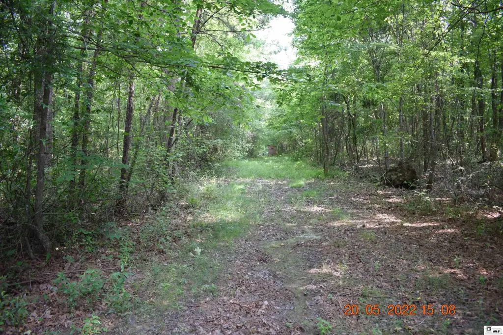 Picture 17