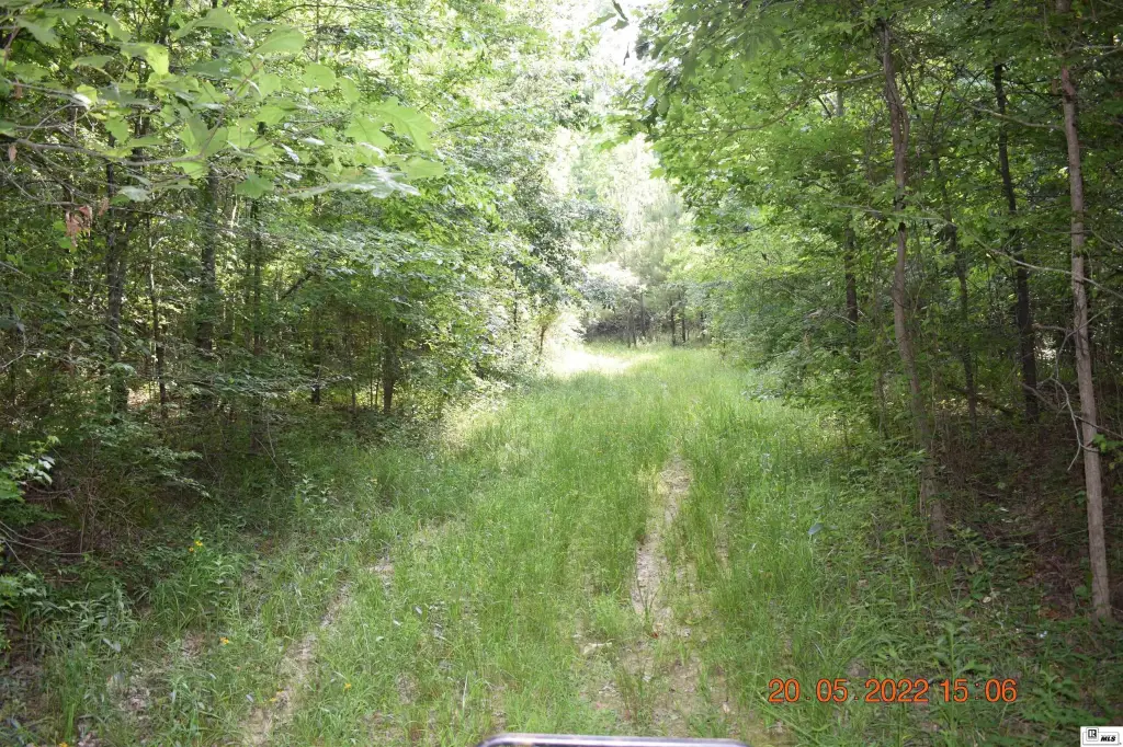 Picture 14