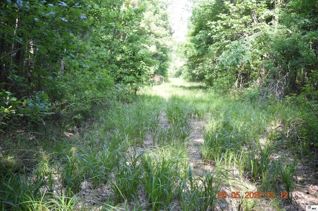 Picture 23