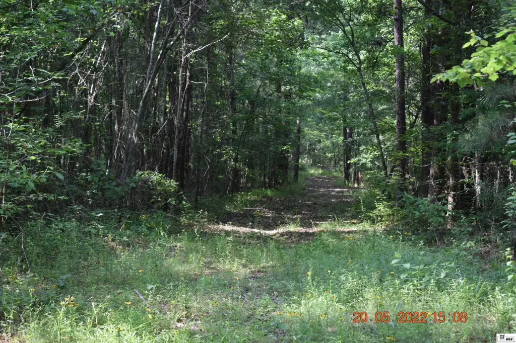Picture 19