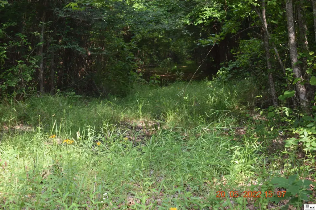 Picture 16