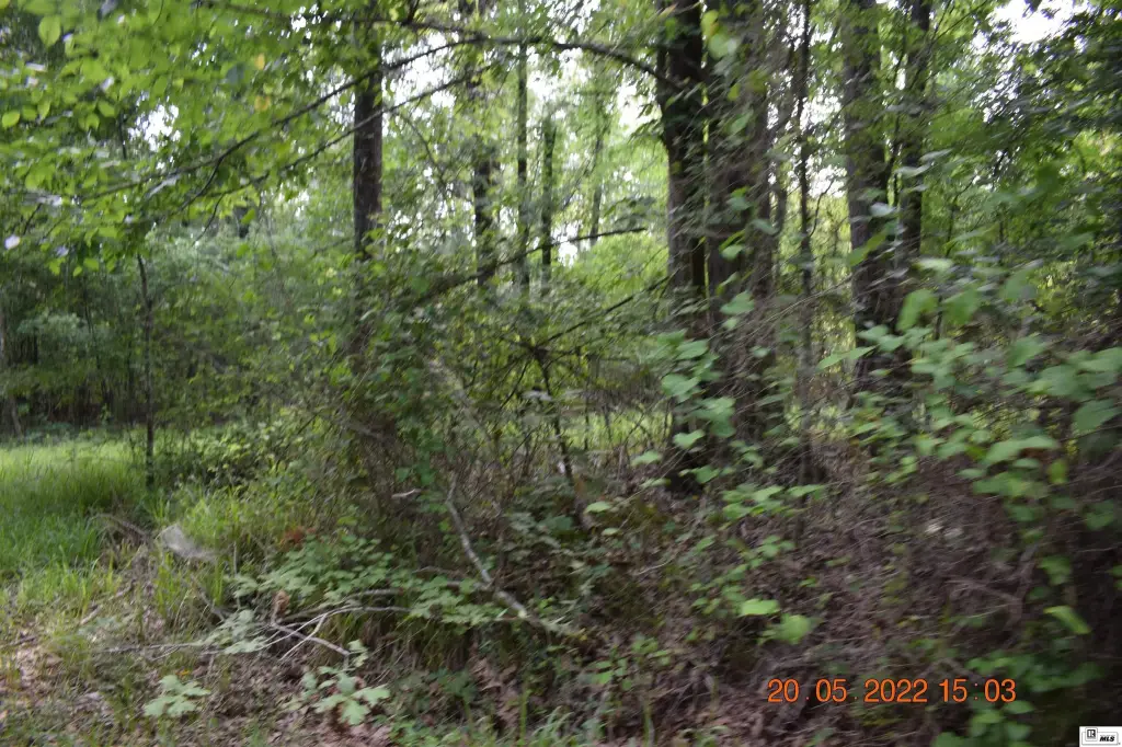 Picture 9