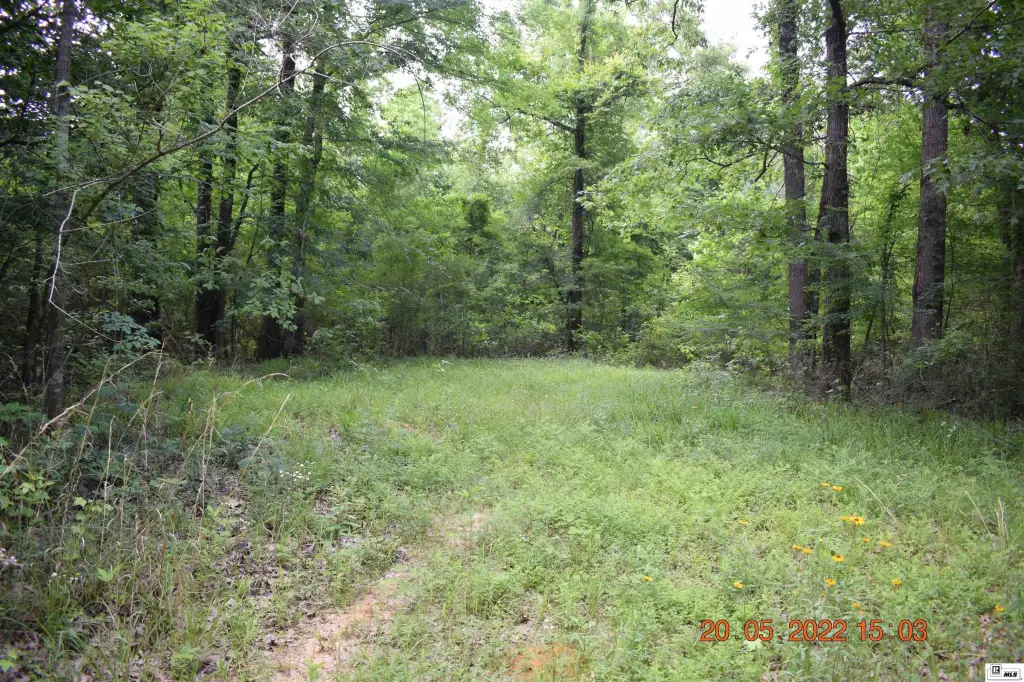 Picture 11