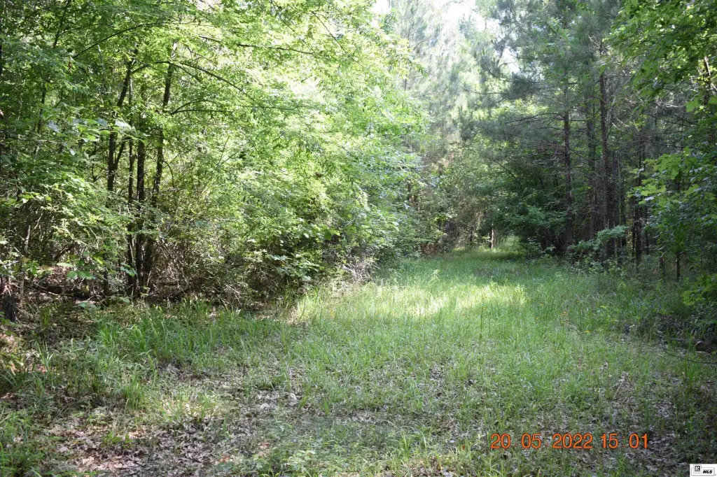Picture 3