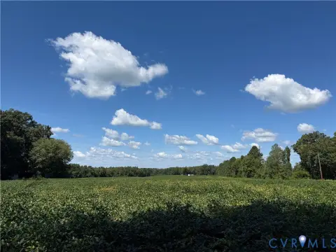 Farm Property with Cropland and Timber