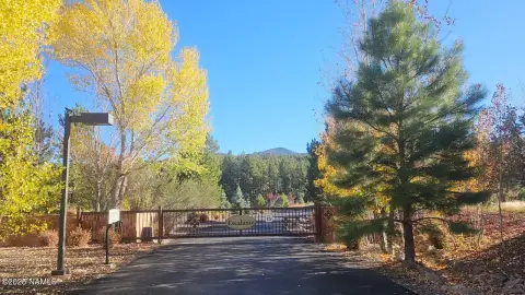 Heavily Treed Lots in Williams