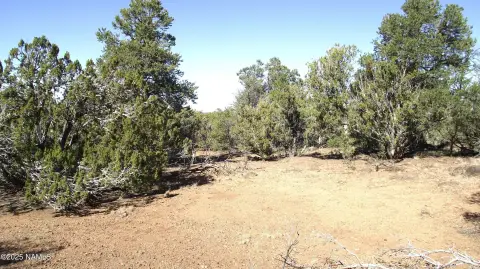 Land with Views in Williams, AZ