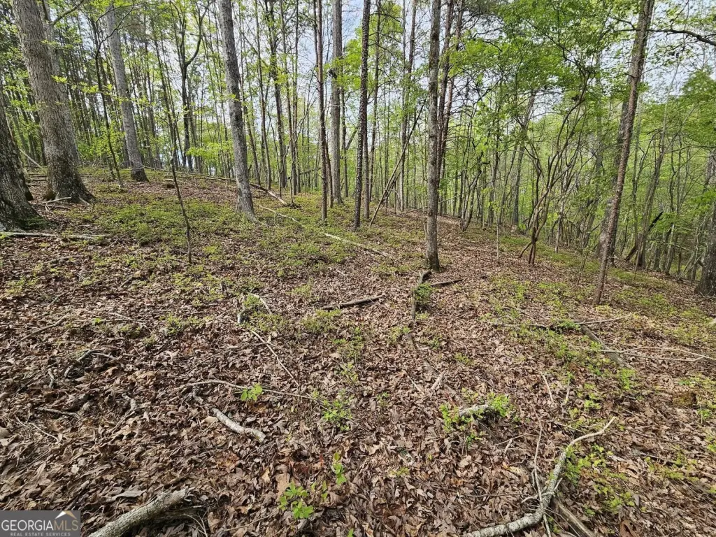 Picture 29