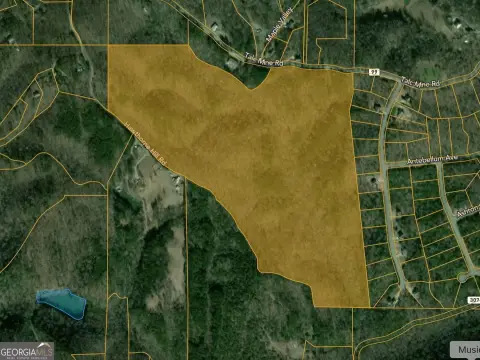 95.9 Acres on Talc Mine