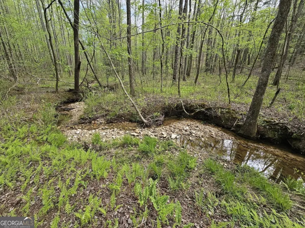 Picture 25