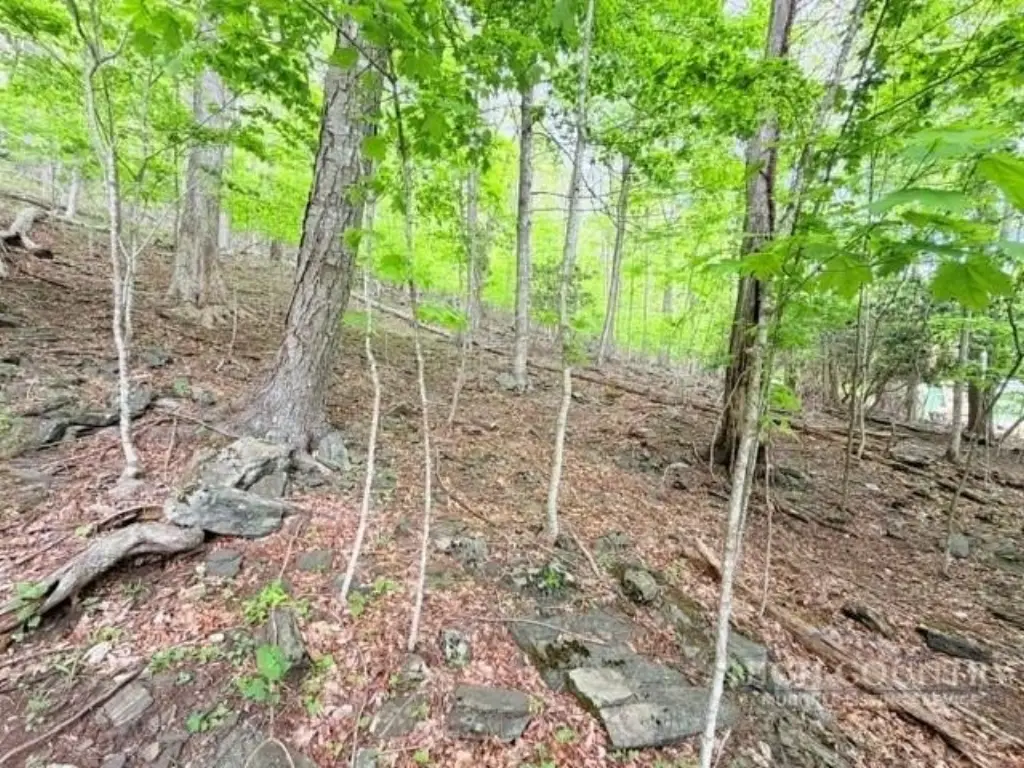 Picture 3