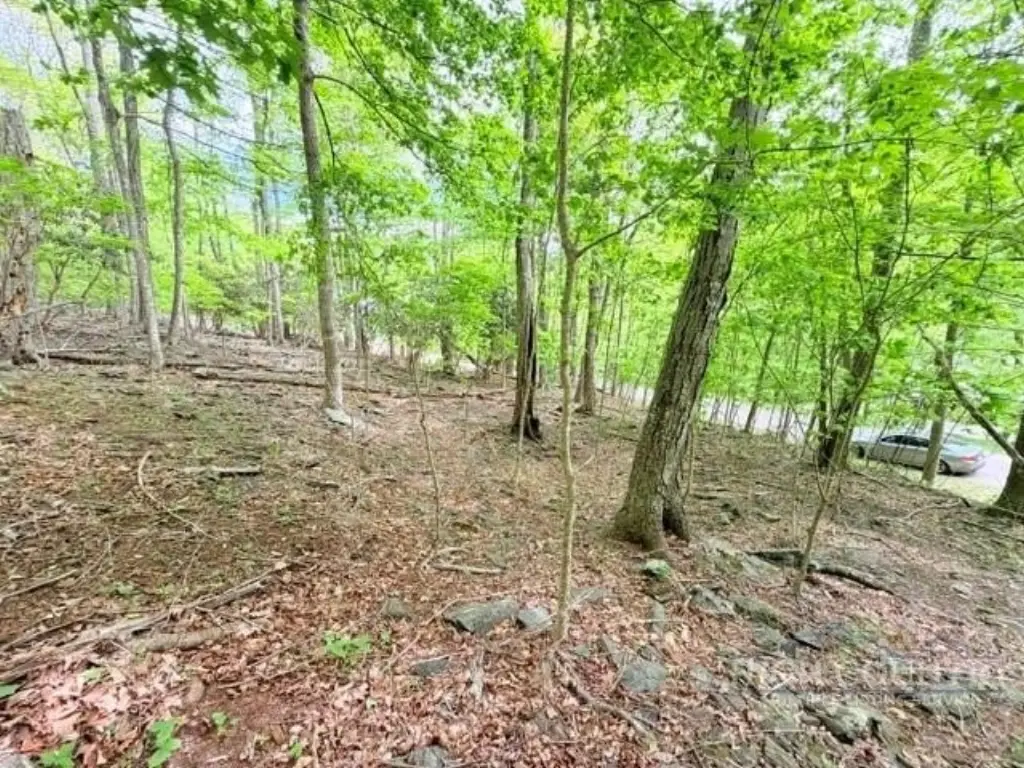 Picture 4
