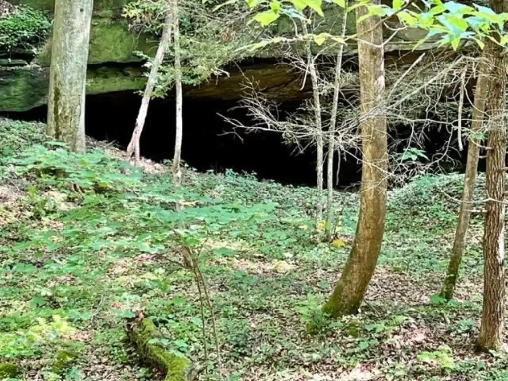 Picture 5