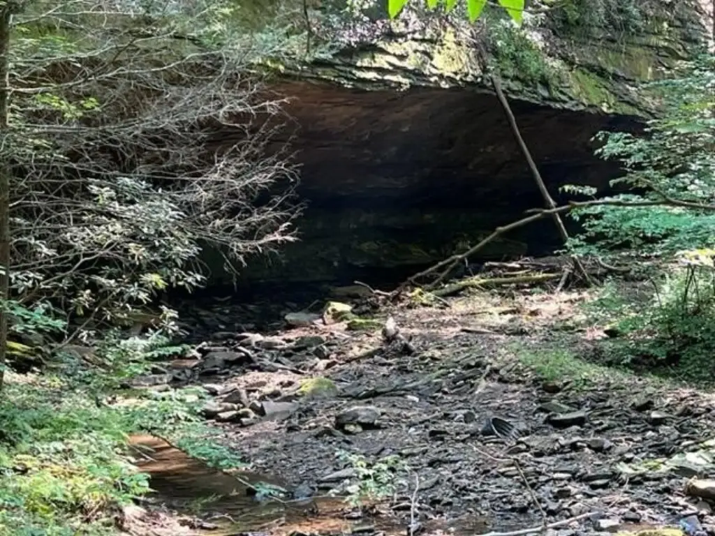 Picture 6