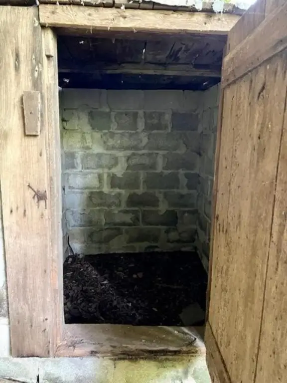 Picture 11