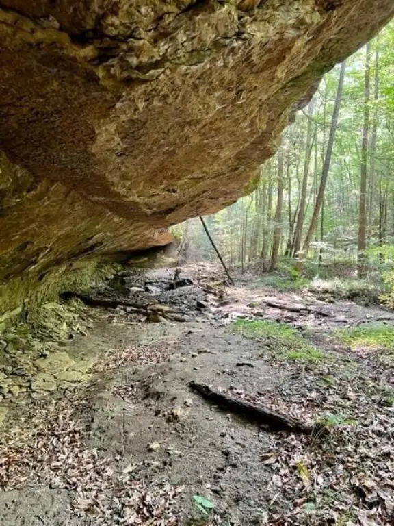 Picture 7
