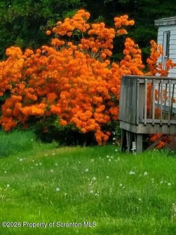Picture 8