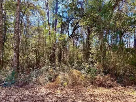 Wooded Homesite in Abita Springs