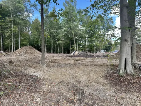 Rogersville Acreage: Build Your Dream