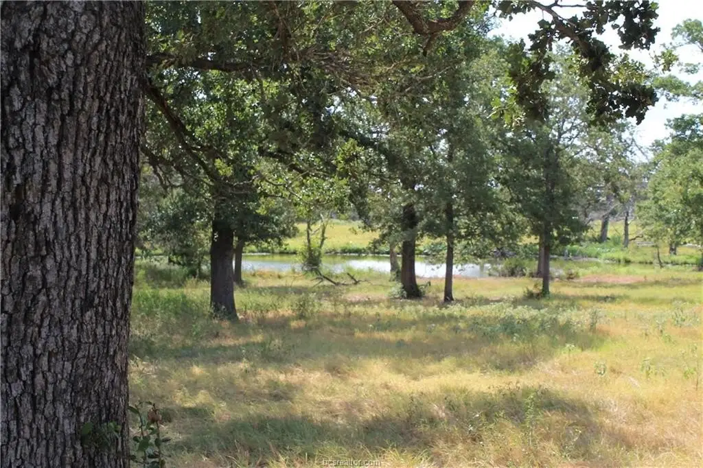 Picture 12