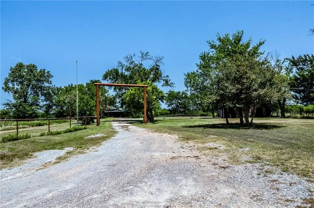 Picture 20