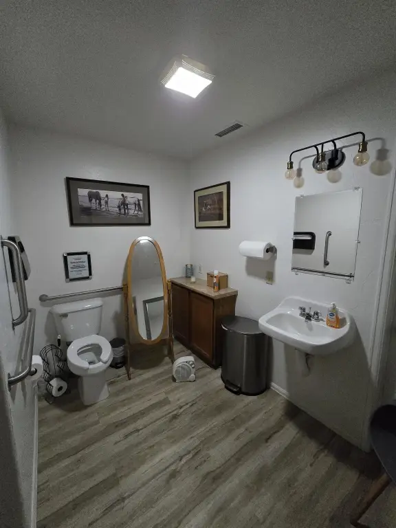 Picture 17