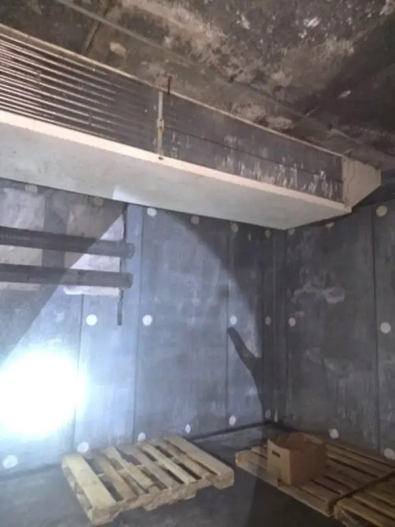 Picture 5