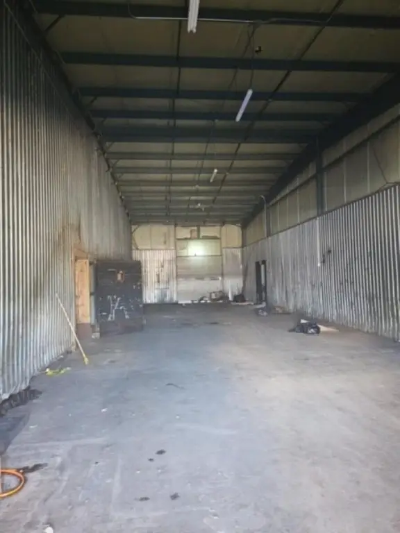 Picture 3