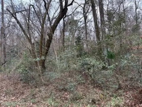 27 Acres Wooded Land