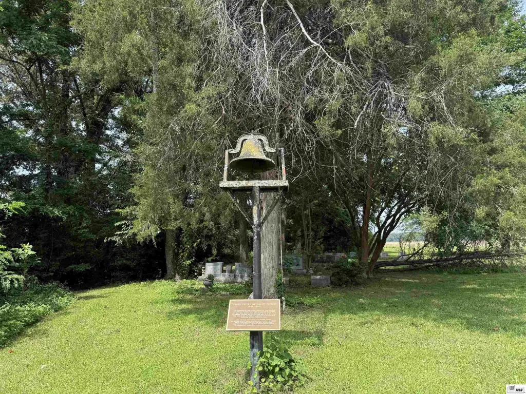 Picture 12