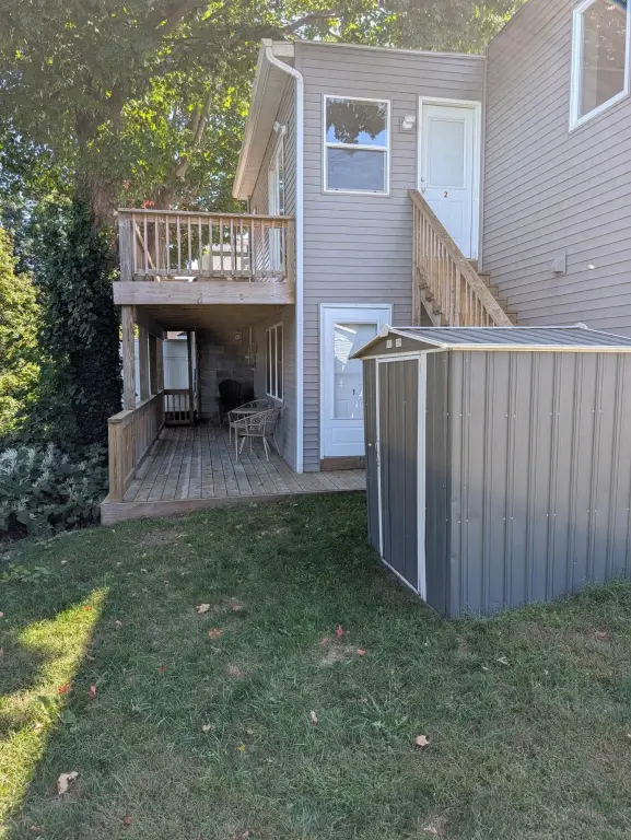 Picture 5