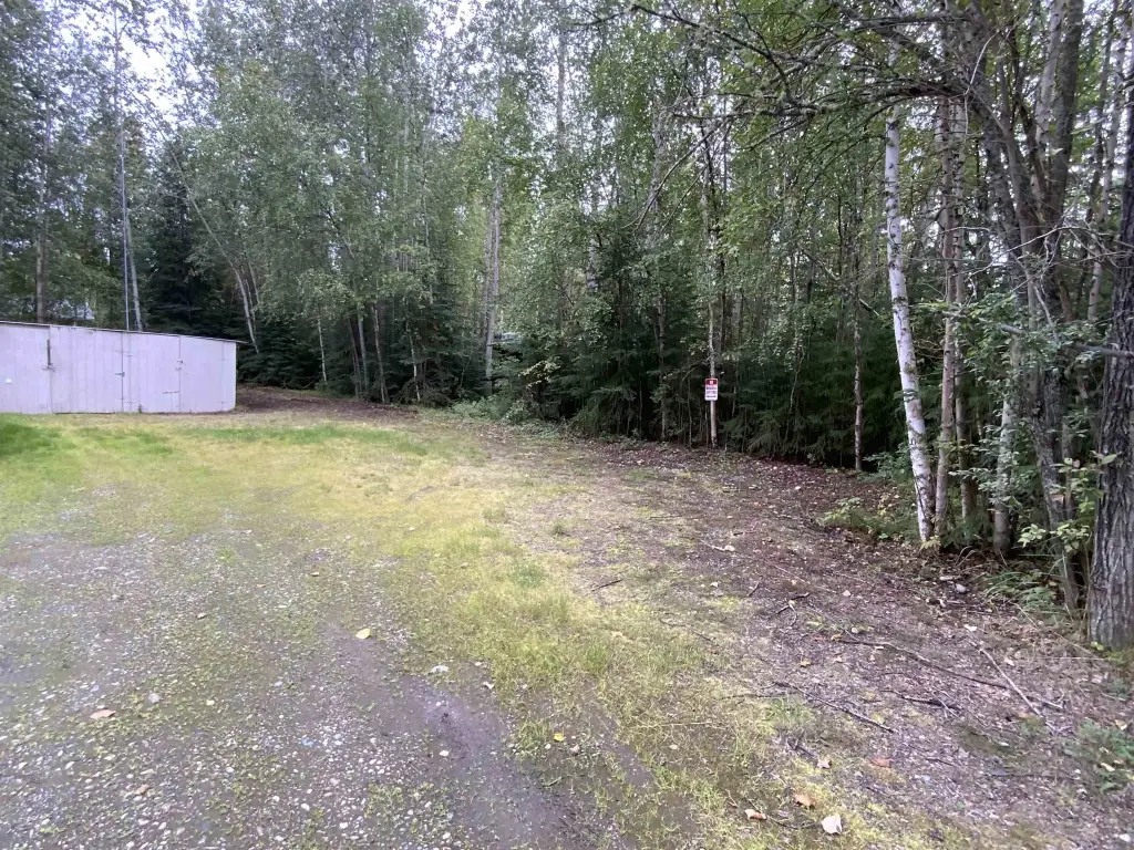 Picture 4