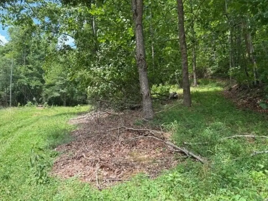 Picture 4