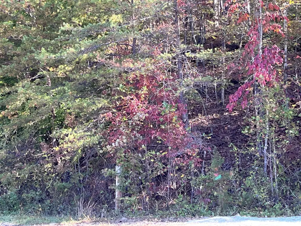 Picture 2