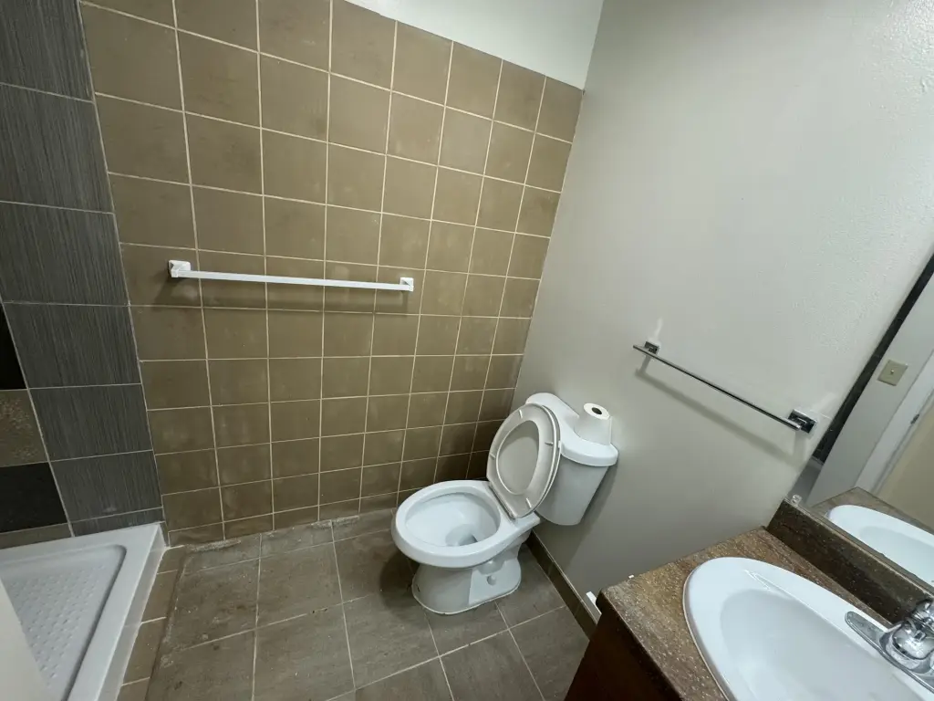 Picture 15