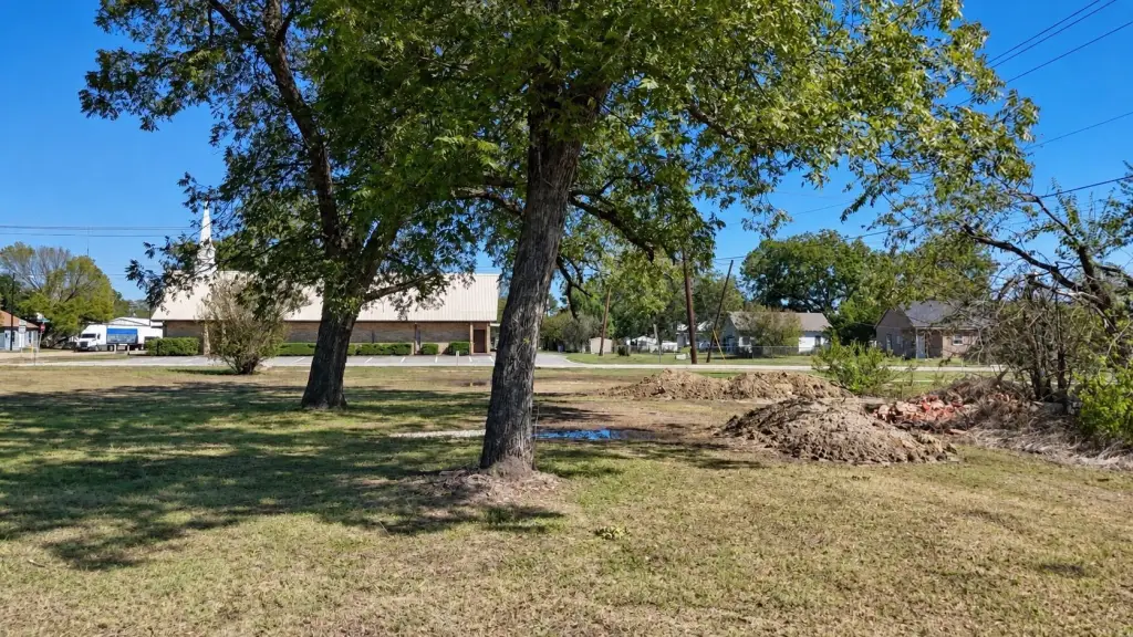Picture 19