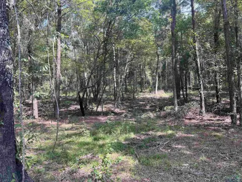 Henderson, TX Acreage For Sale