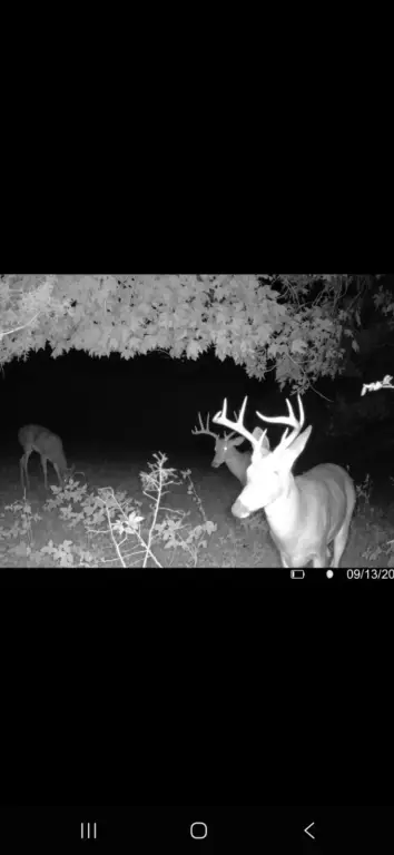 Picture 4