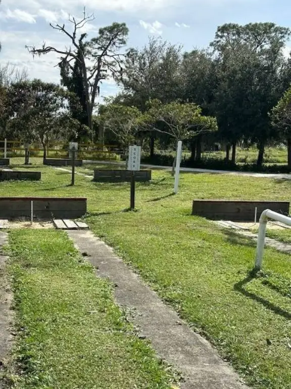 Picture 24