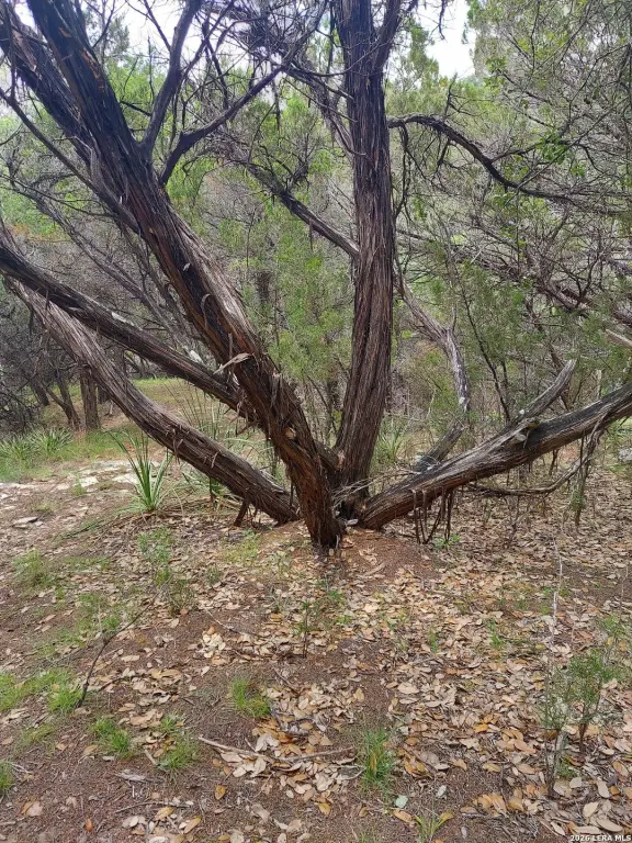 Picture 4