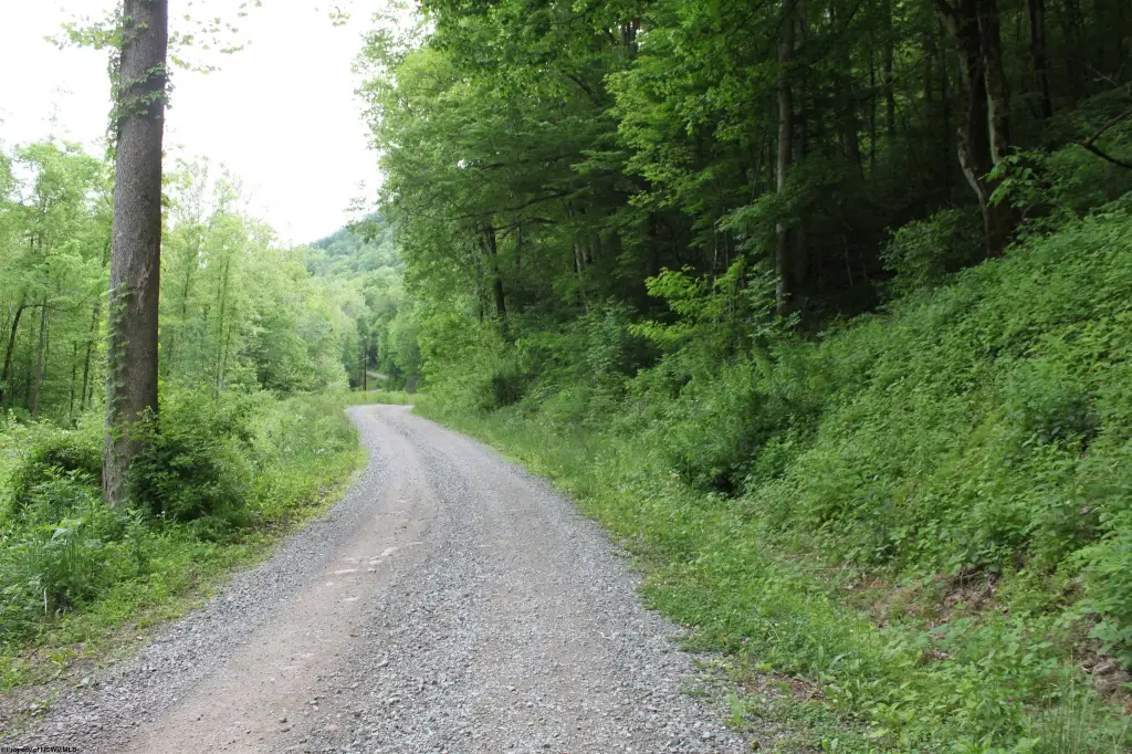 Picture 8