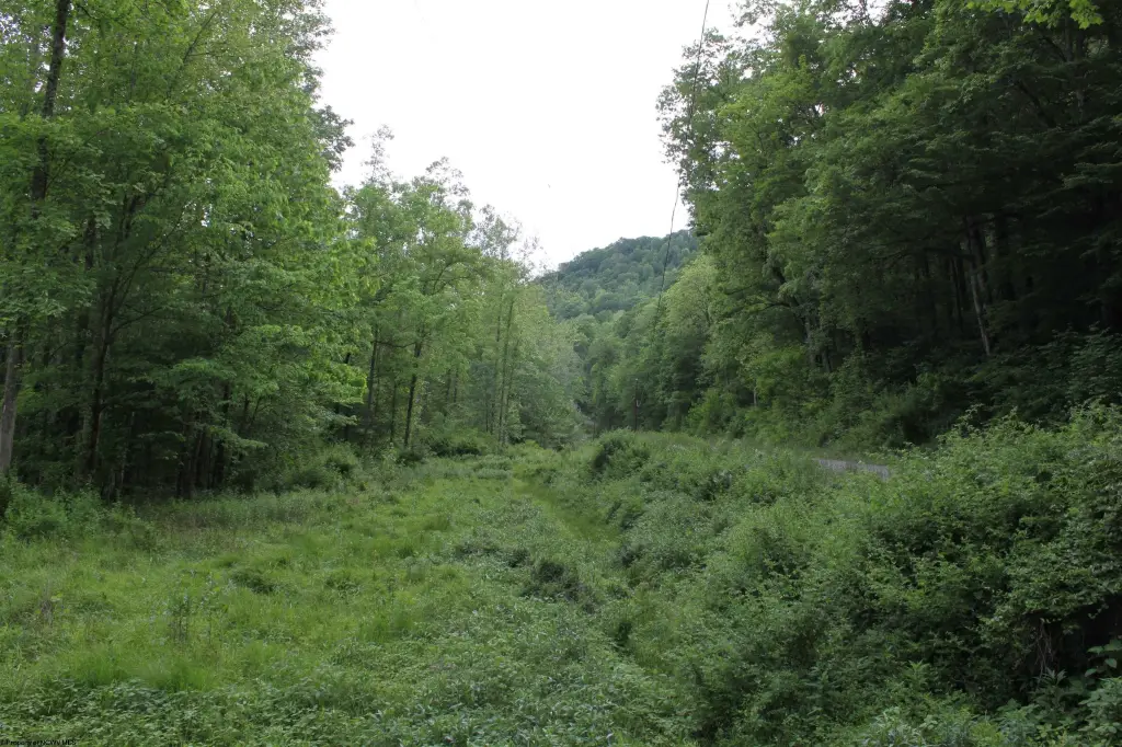 Picture 14