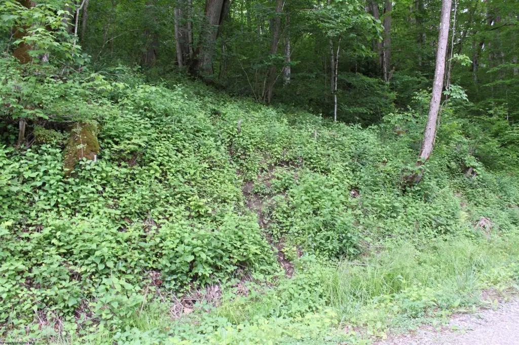 Picture 9