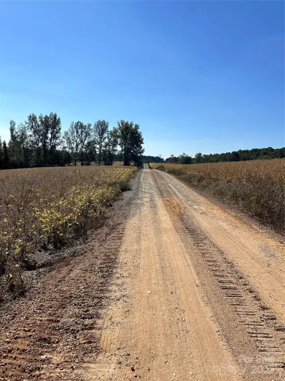 Picture 16