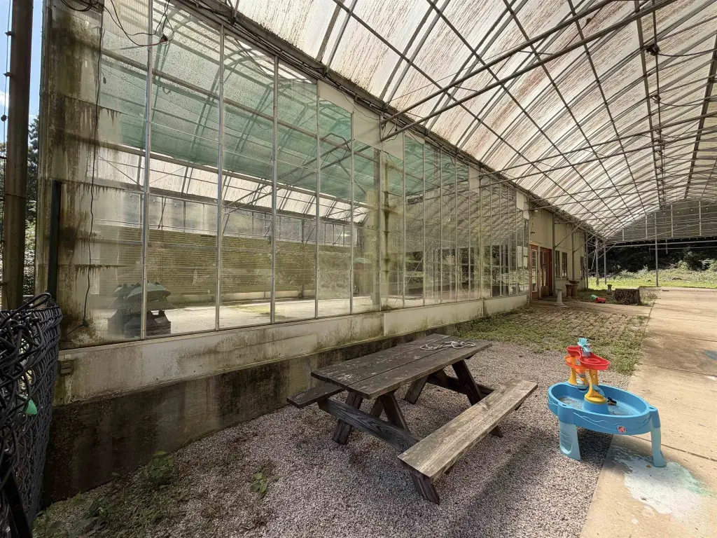 Picture 6