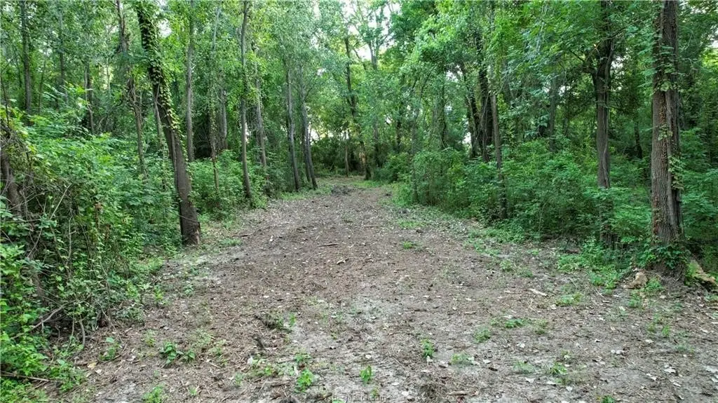 Picture 12